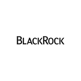 BlackRock 2022 Global Income Opportunity Trust logo