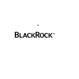 Blackrock Municipal 2030 Target Term Trust logo