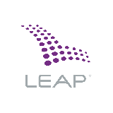 Ribbit LEAP, Ltd. logo