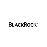 BlackRock MuniHoldings New York Quality Fund, Inc. logo