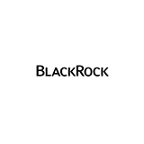 BlackRock MuniYield Fund, Inc. logo