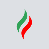 Нижнекамскшина logo