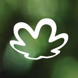 Natura &Co Holding S.A. logo