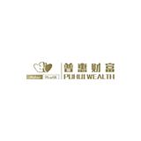 Puhui Wealth Investment Management Co., Ltd. logo
